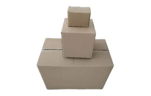 Carton Outer Packaging-1